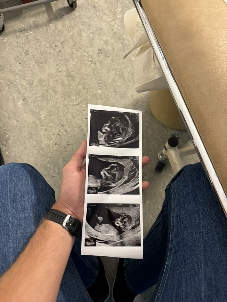 Highlights of January