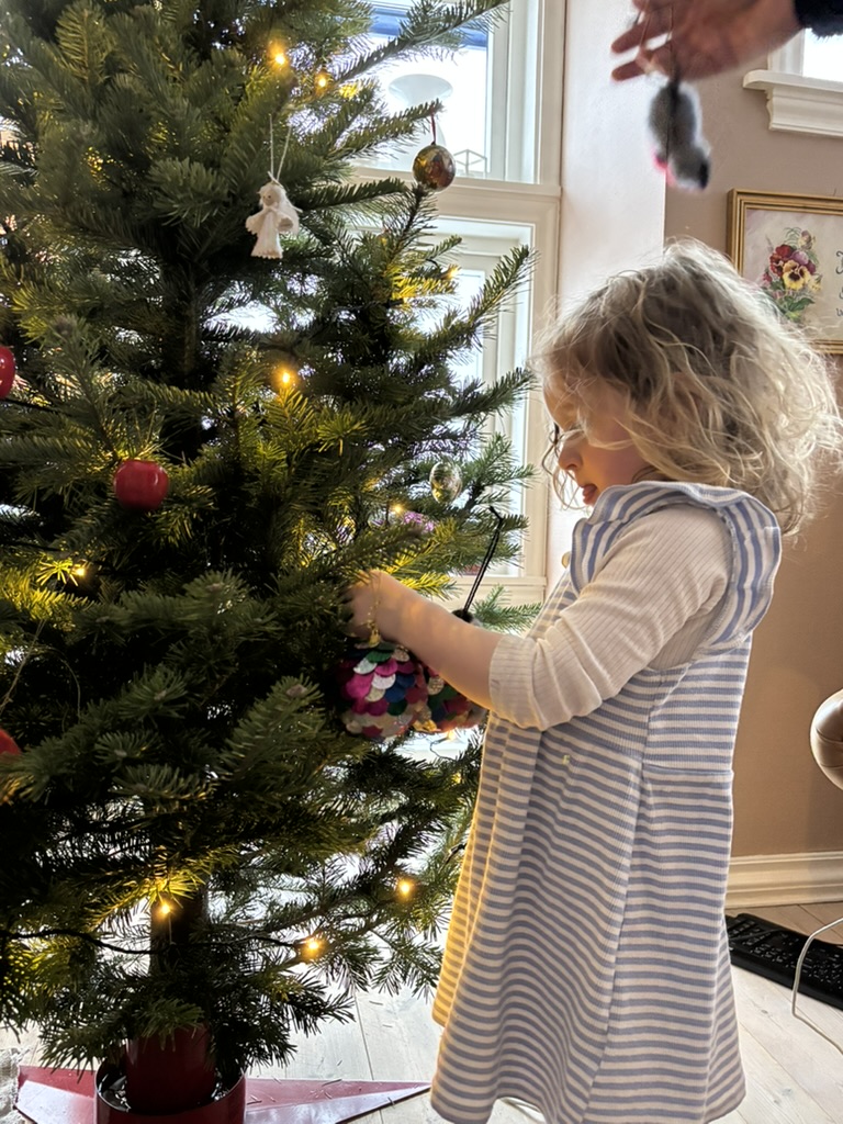 Highlights of December