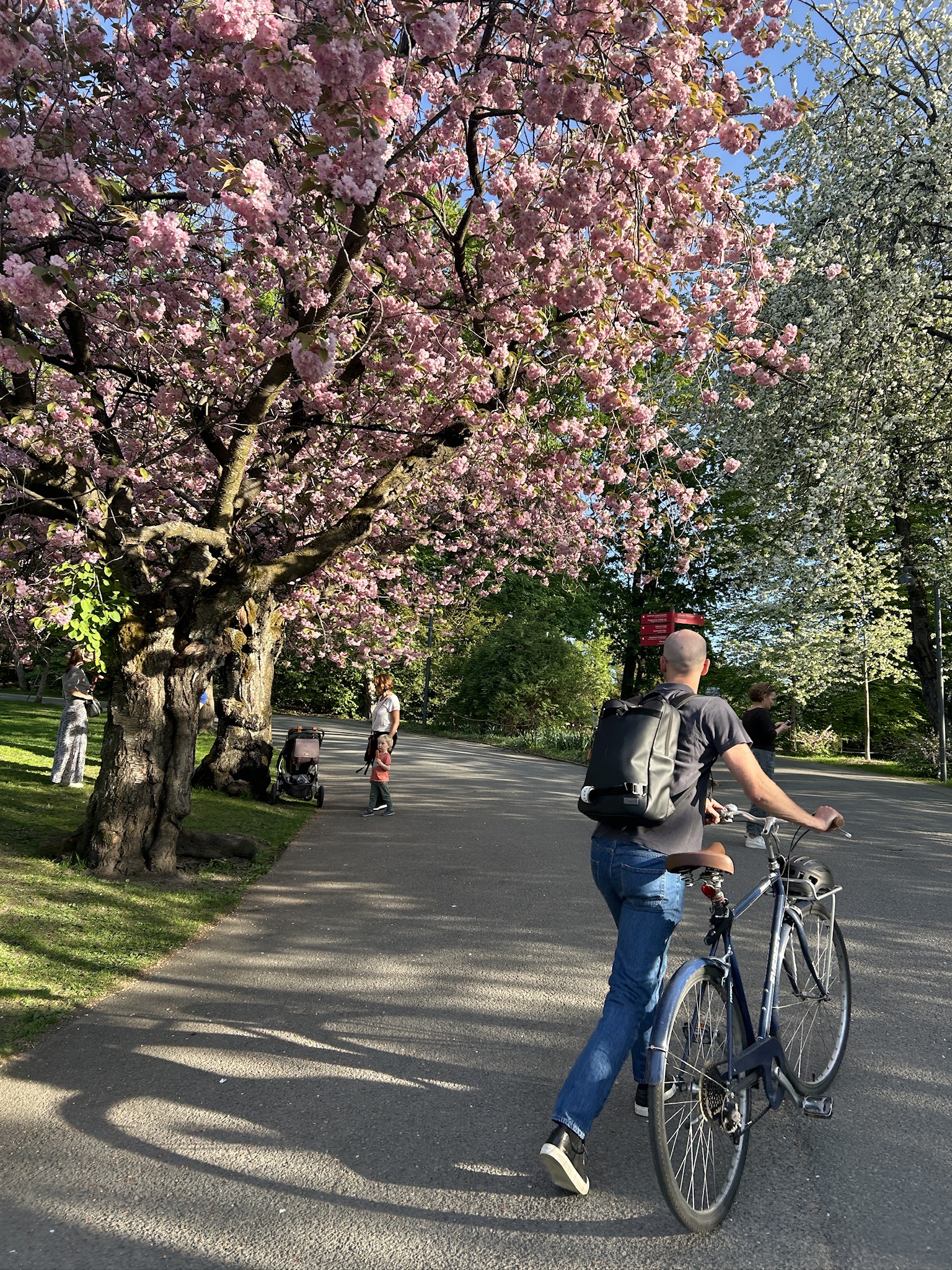 Highlights of January