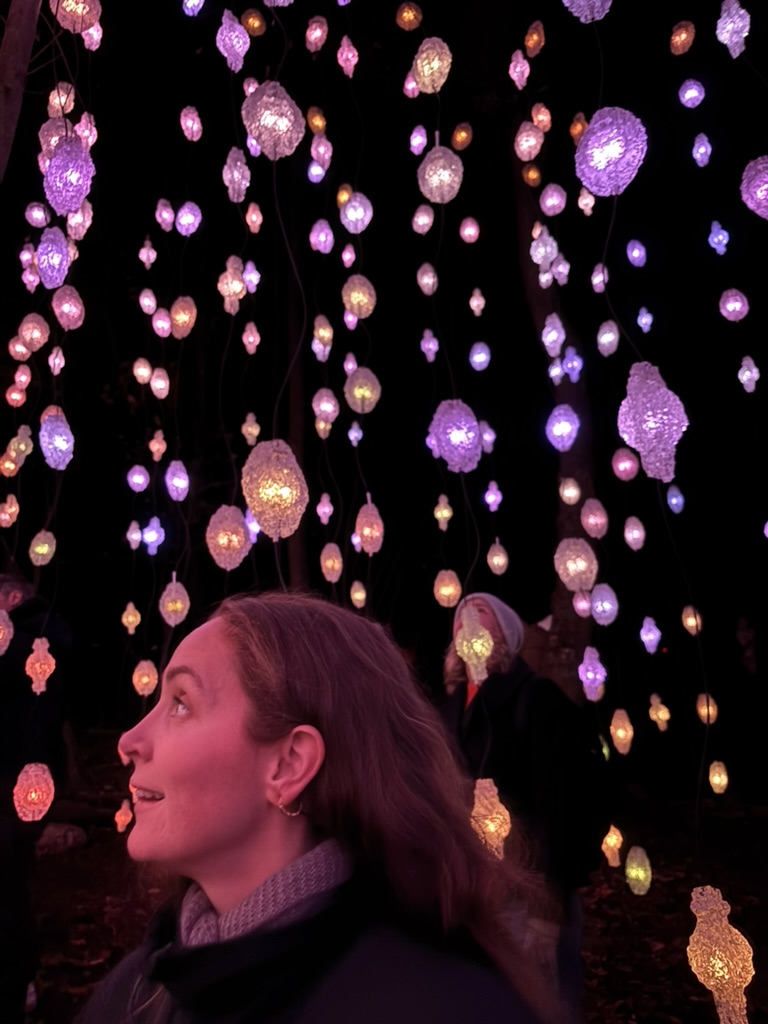 Highlights of January