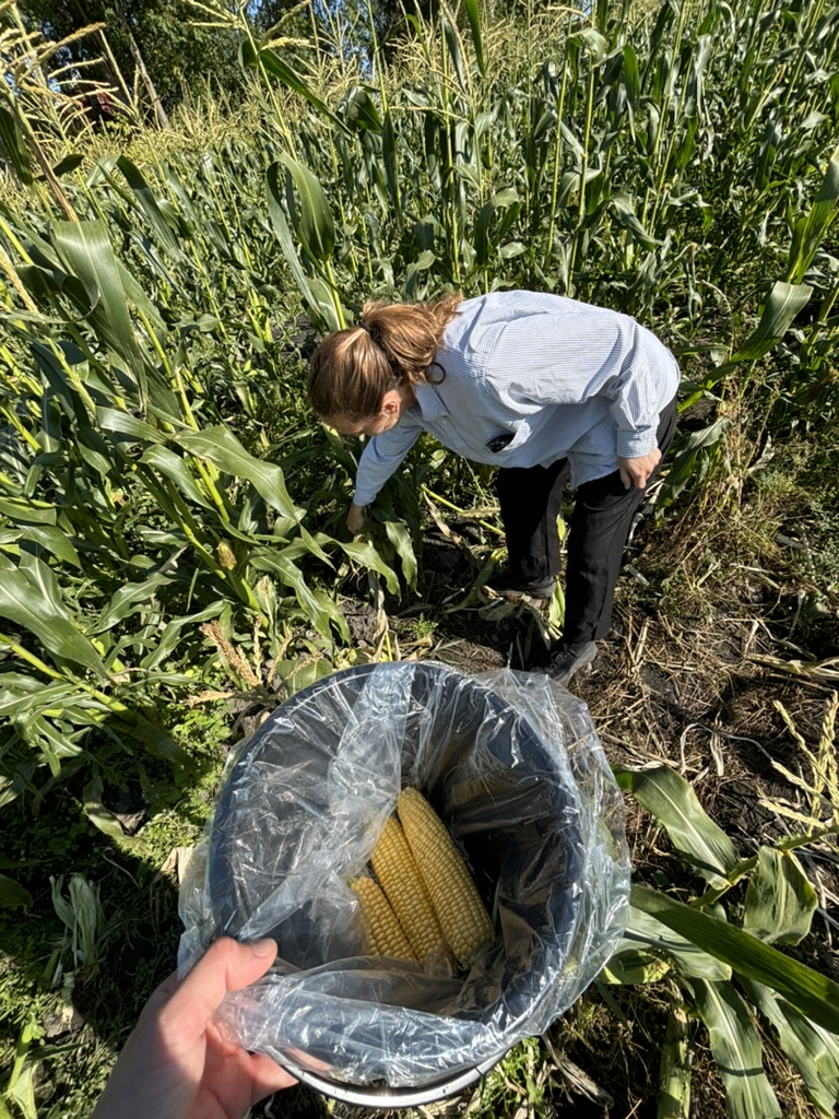 Highlights of January